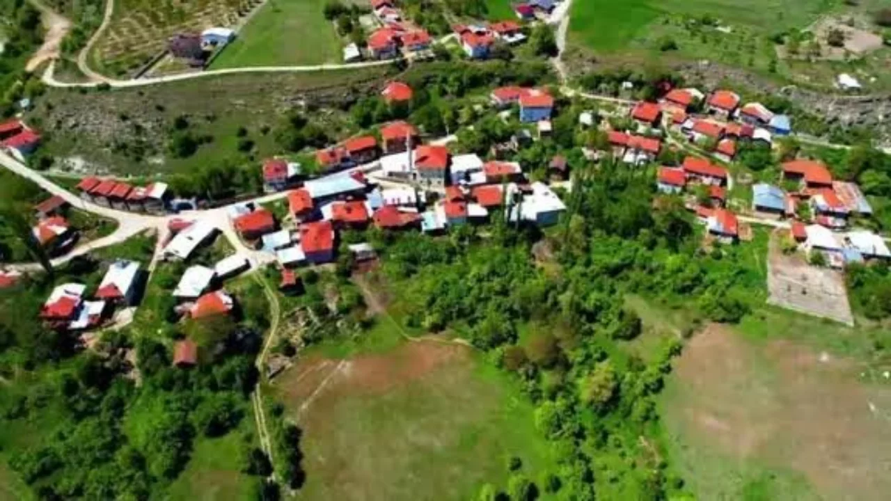 Bursa'da sadece 95 kişinin yaşadığı k&ouml;y! Şehirden uzak bir hayat...