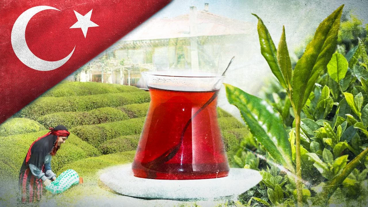 &Ccedil;ay ihracatı 9 ayda 25 milyon doları aştı