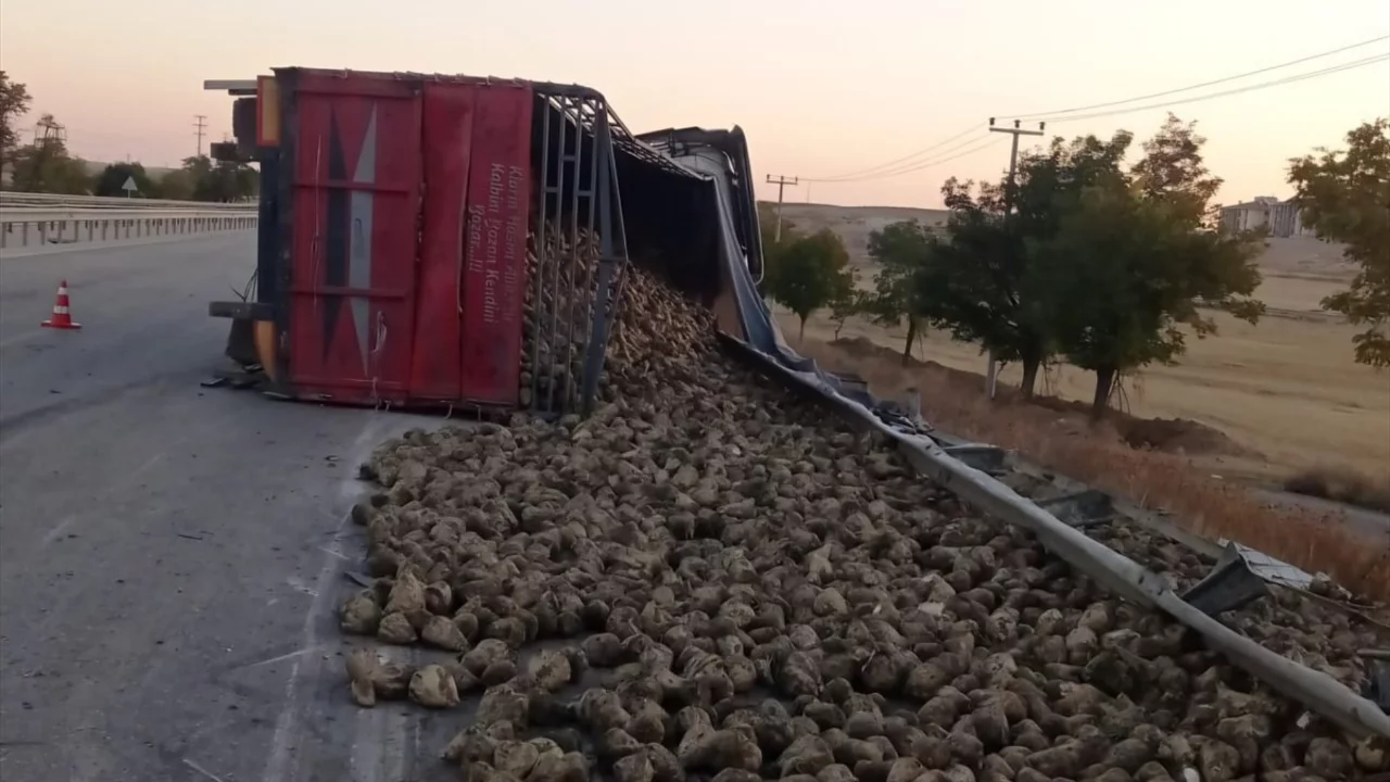 Pancar y&uuml;kl&uuml; tır kontrolden &ccedil;ıkarak devrildi, s&uuml;r&uuml;c&uuml; yaralandı