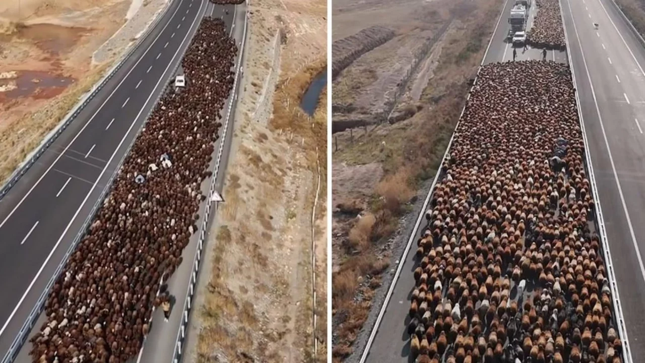 G&ouml;r&uuml;nt&uuml; T&uuml;rkiye'den! İki şeritli yolu kapattılar, onlarca ara&ccedil; bekledi