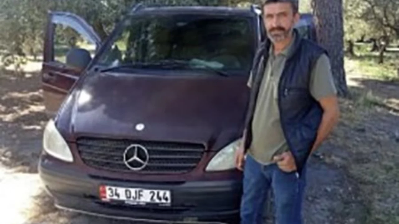 Zeytin toplarken arı soktu hayatını kaybetti