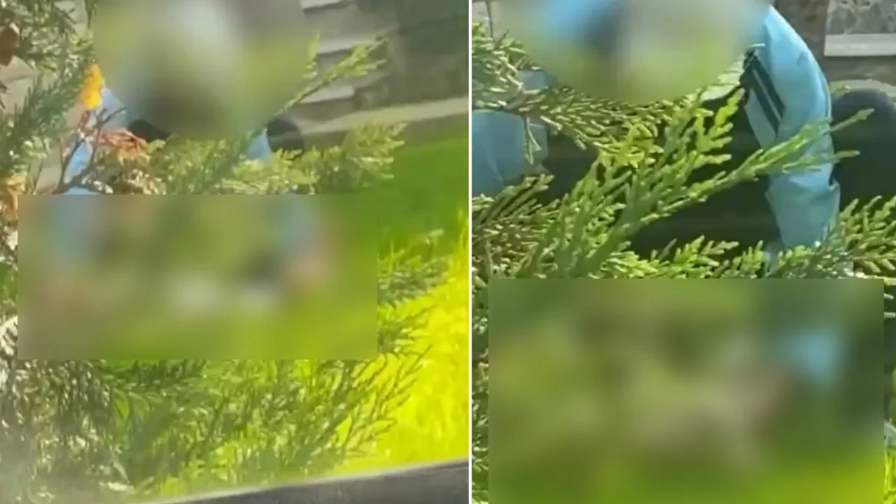 Beddua ederek kaydetti! İstanbul'un g&ouml;beğinde infial yaratan g&ouml;r&uuml;nt&uuml;