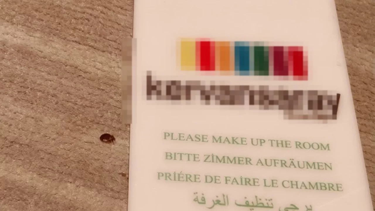Bursa'da yılların otelinde şoke eden g&ouml;r&uuml;nt&uuml;! İstila etmişler