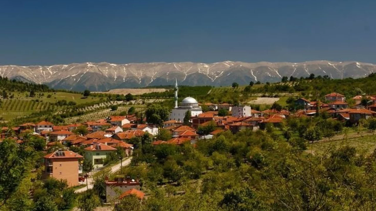 Bursa'da k&ouml;y&uuml;n altından tarih &ccedil;ıktı! Adı 1521 tarihli kayıtlarda da ge&ccedil;iyor...