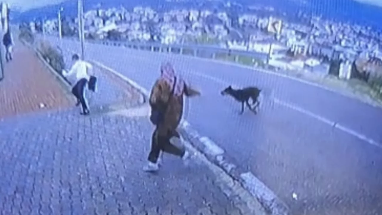 Bursa'da korku dolu anlar! 11 yaşındaki &ccedil;ocuk hastanelik oldu