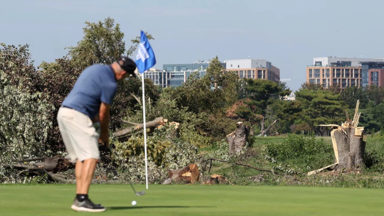 ABD'de yargıç, Trump yönetiminin Washington'daki golf sahasında yaptığı ağaç kesimini durdurdu 