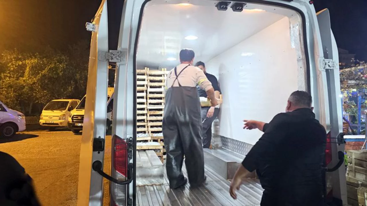 3 saatte 1500 kasayla d&ouml;nd&uuml;ler: 'Hi&ccedil; bu kadar olmamıştı'