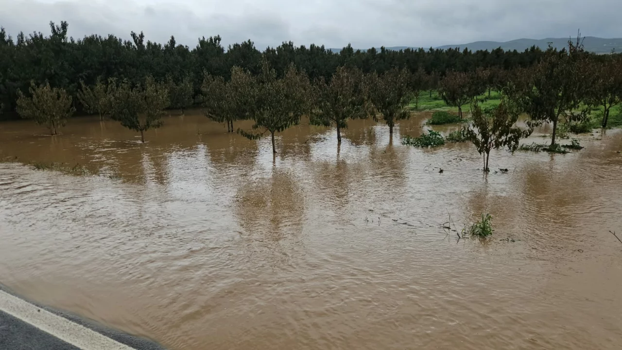 Bursa'da kuruyan dere taştı! Tarım arazileri ve evlerin bahçeleri su altında kaldı...
