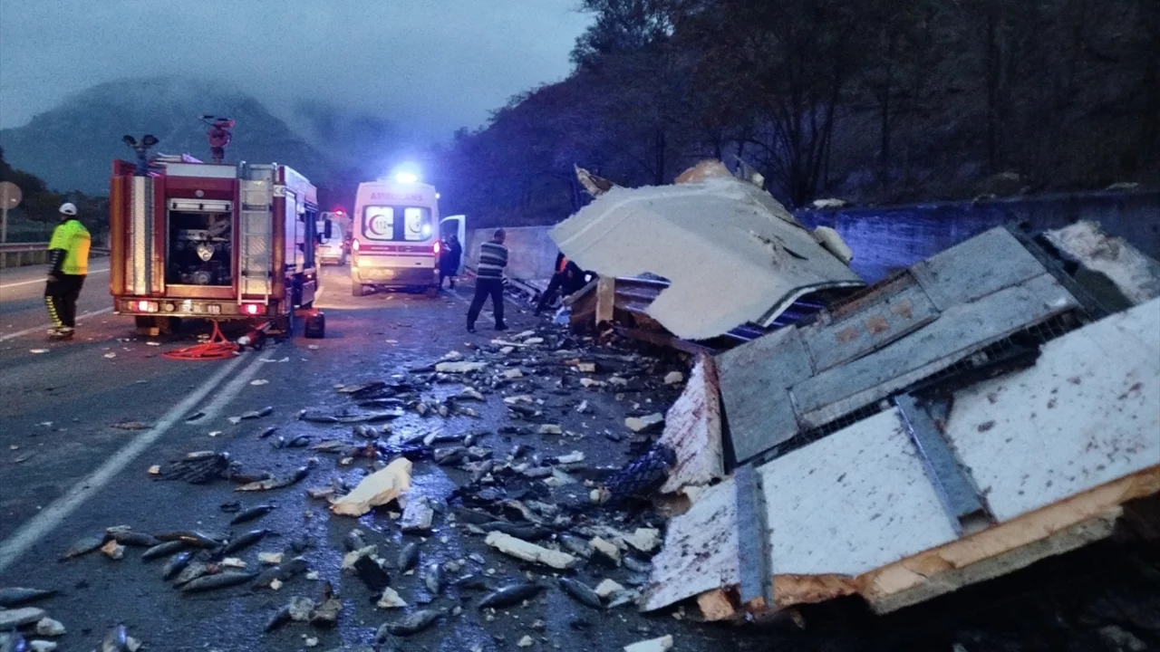 Sinop'ta palamut yüklü kamyon devrildi: Sürücü hayatını kaybetti