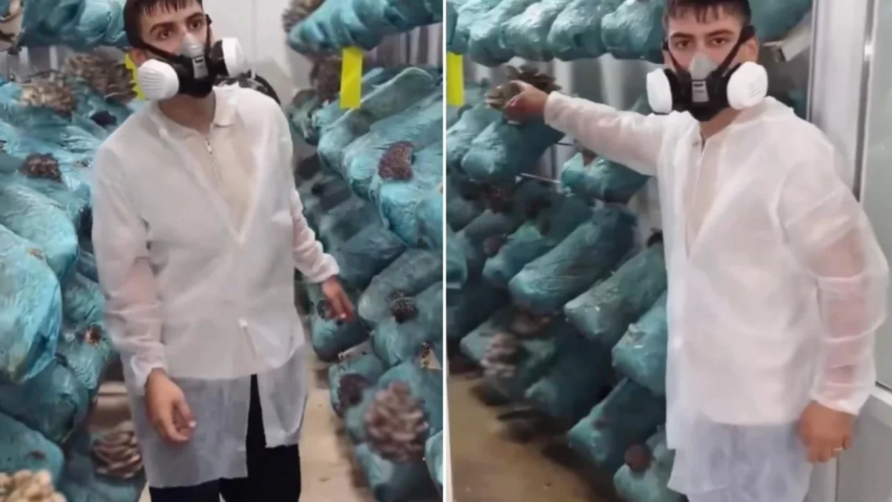 Avukatlığı bırakıp bu işe başladı! Kazancını bir ayda 8'e katladı