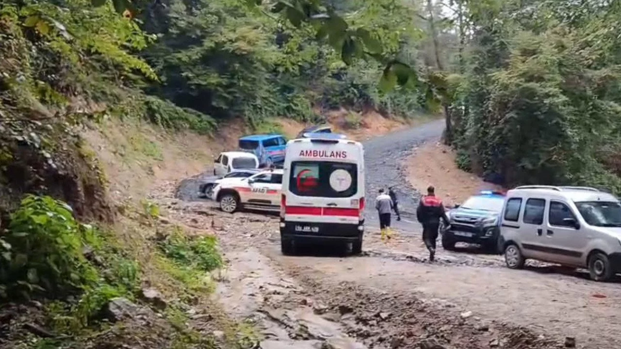 Kestane toplamak i&ccedil;in girdiği ormandan cansız bedeni &ccedil;ıktı