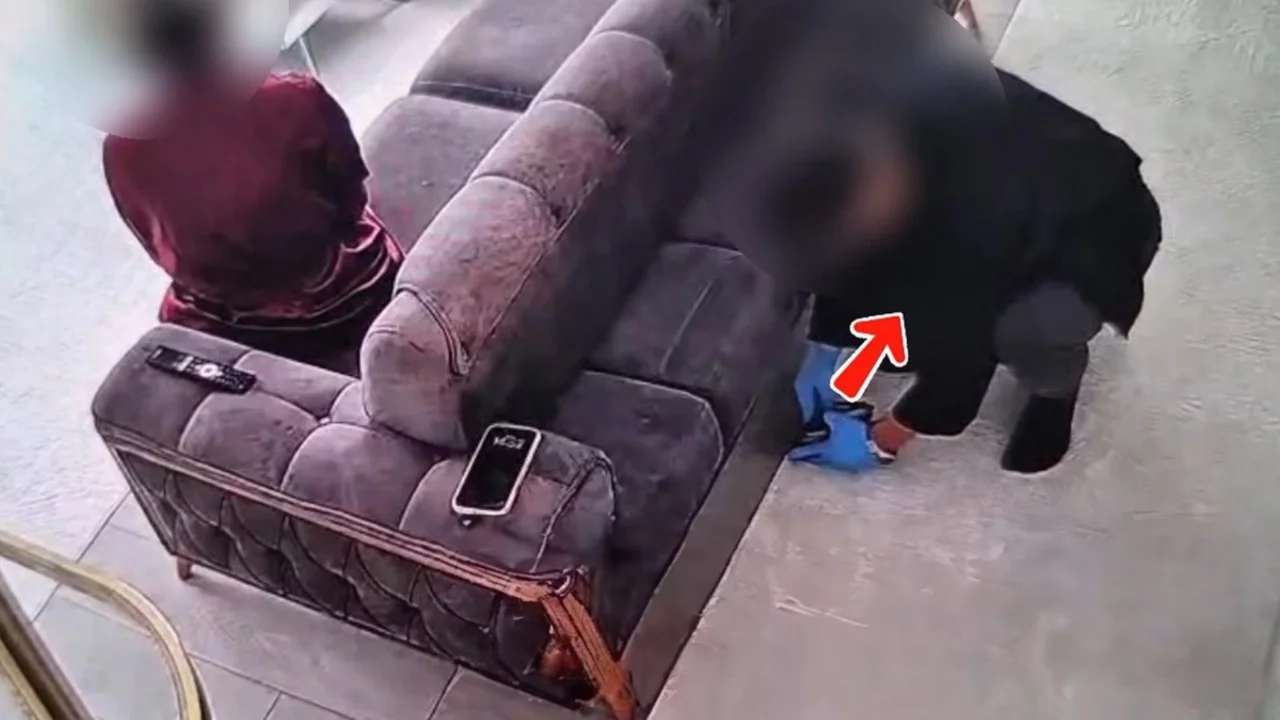 Bunu da g&ouml;rd&uuml;k! Ev sahibi koltukta otururken yaptığına bakın