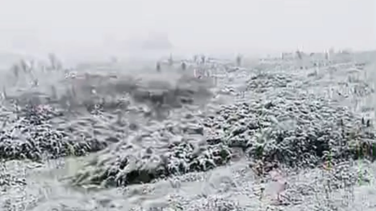 Bursa'da kış kendini g&ouml;sterdi! Bir il&ccedil;emizde yağmur yerini kara bıraktı...
