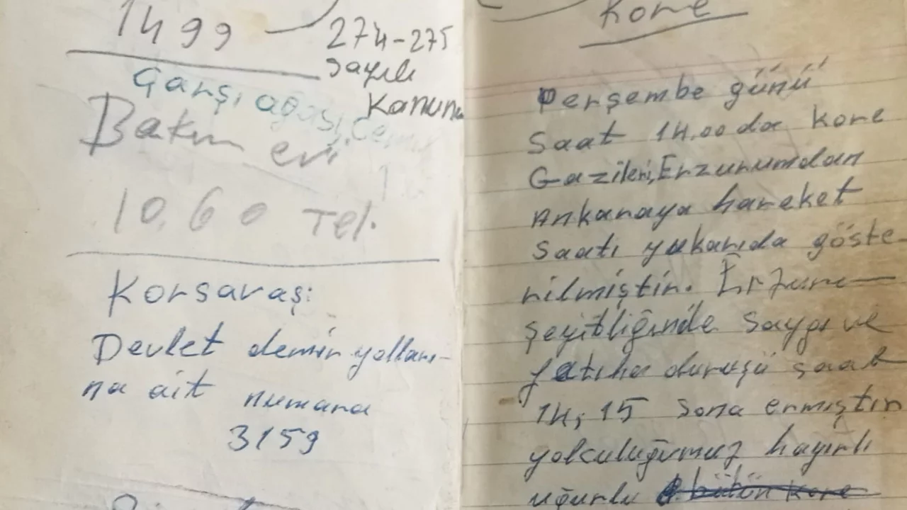 Kore'den Erzurumlu Gaziye "Barış Büyükelçisi" onuru
