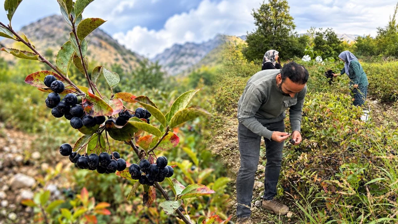 Ne pazarda var ne manavda: Kilosu 400 liraya adrese teslim satılıyor!