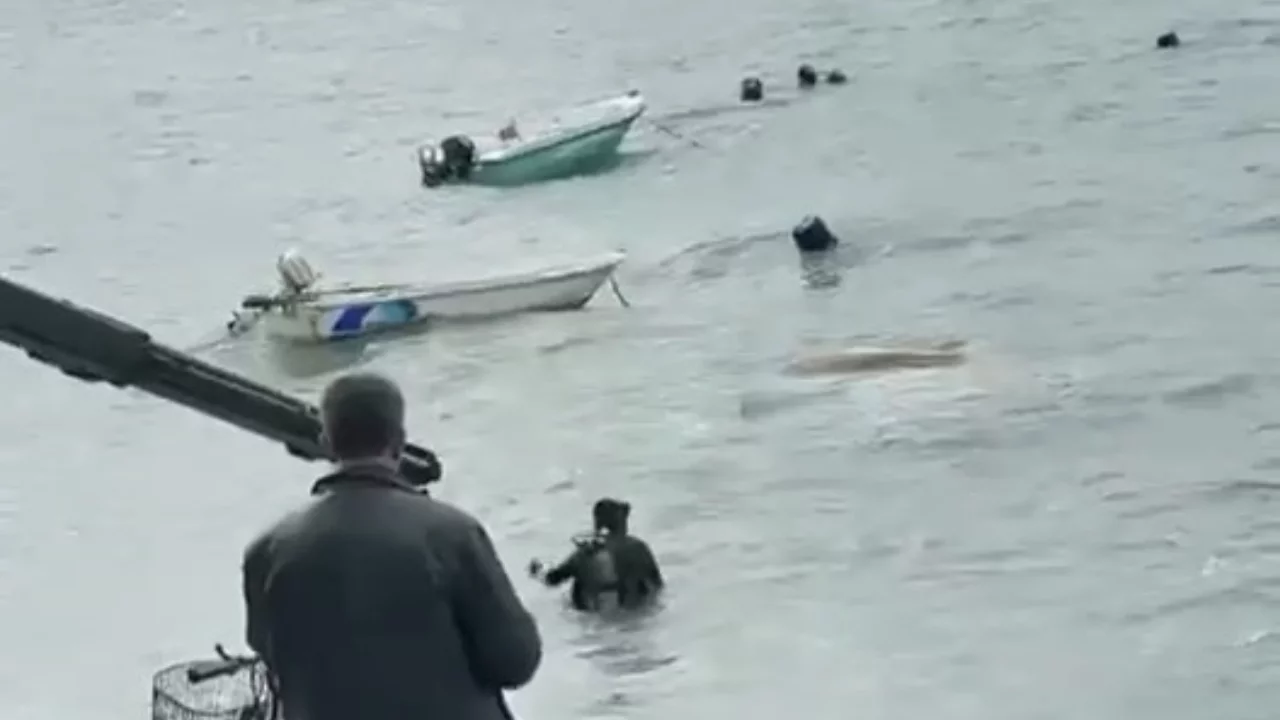 Bursa'da lodosun ardından acı manzara!