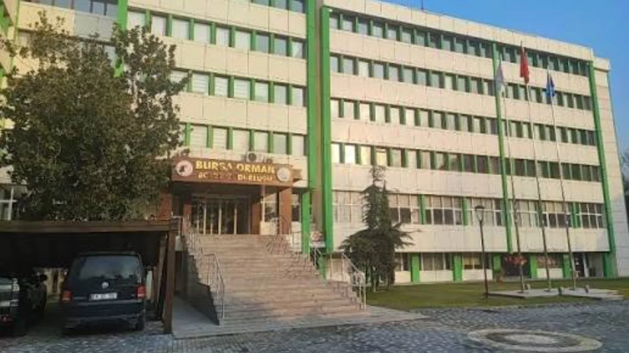 Bursa'da orman işletmesi i&ccedil;in iş g&uuml;venliği ve hekimlik ihalesi! S&uuml;re 365 g&uuml;n olacak
