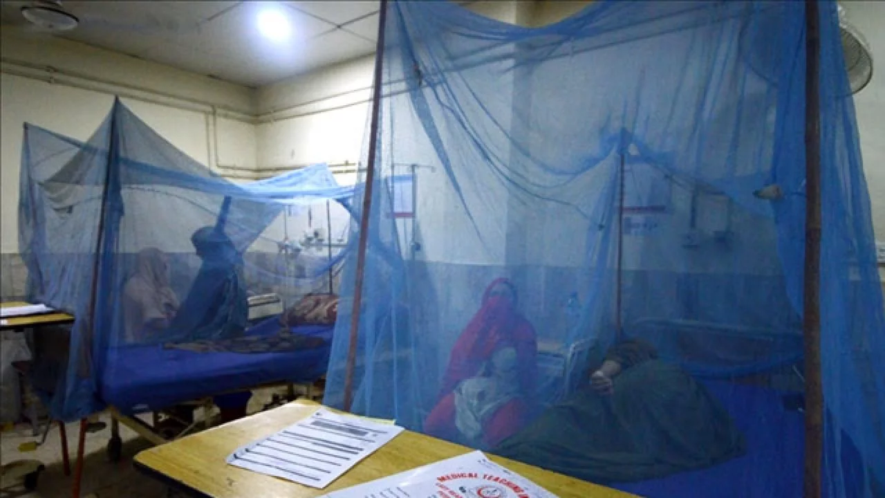 Bangladeş'te dang humması alarmı! Can kaybı ve vaka sayısı artıyor