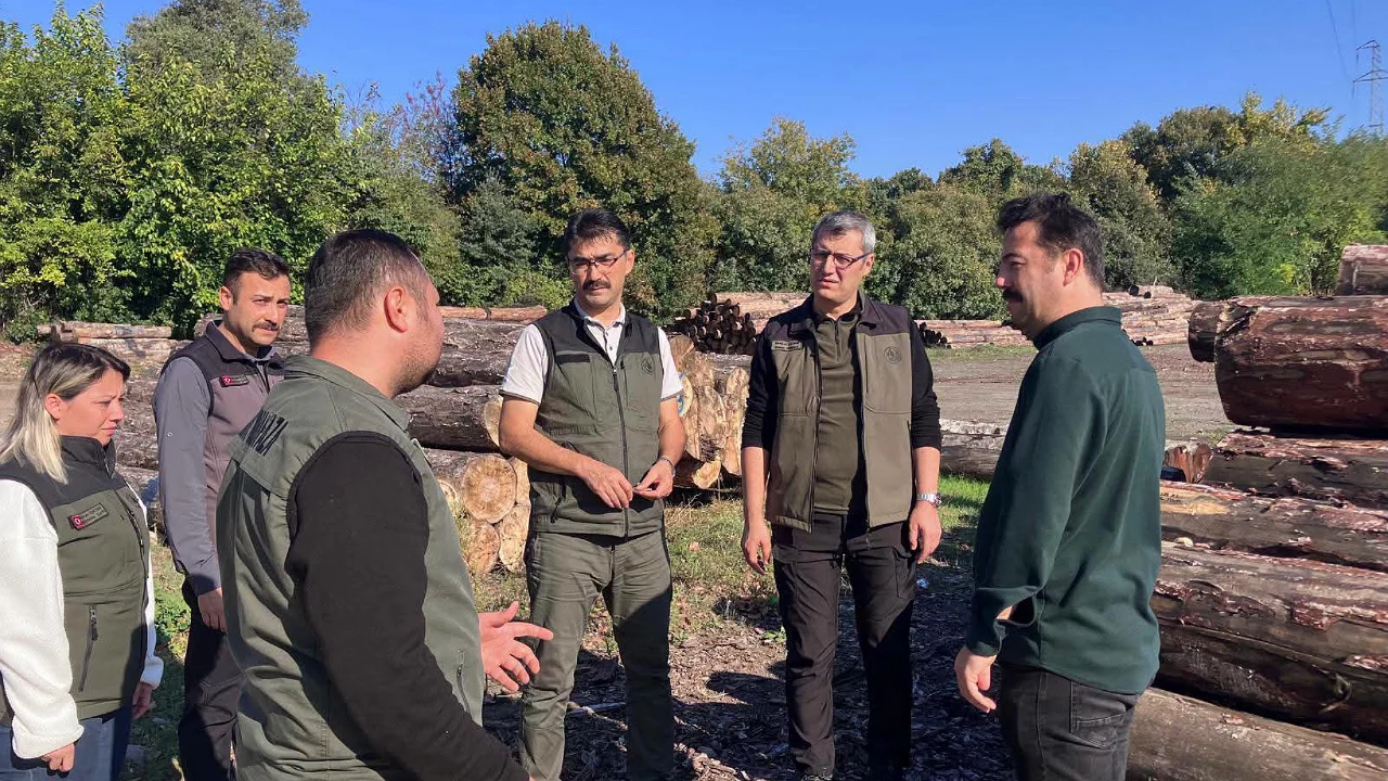 Bursa'da orman ürünleri için dikkat çeken talimat!
