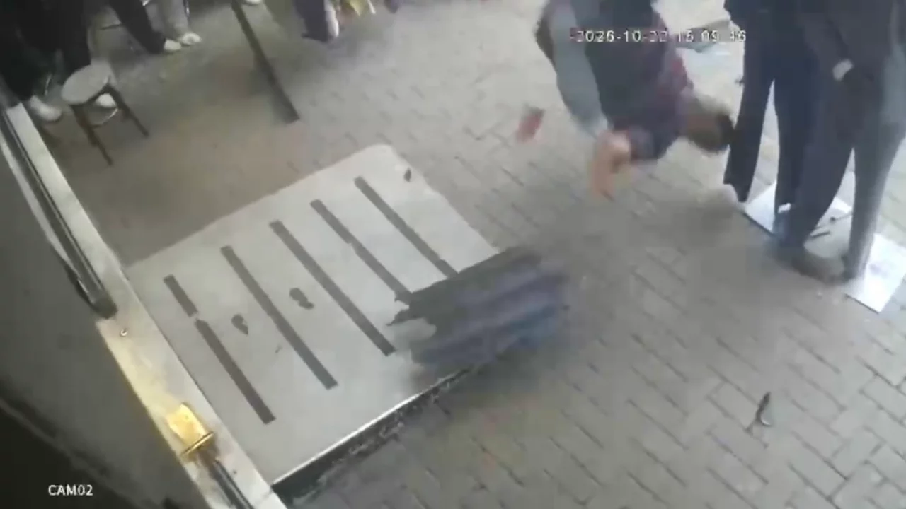 Bursa'da yavru kediyi kurtarmak isterken canından oldu!
