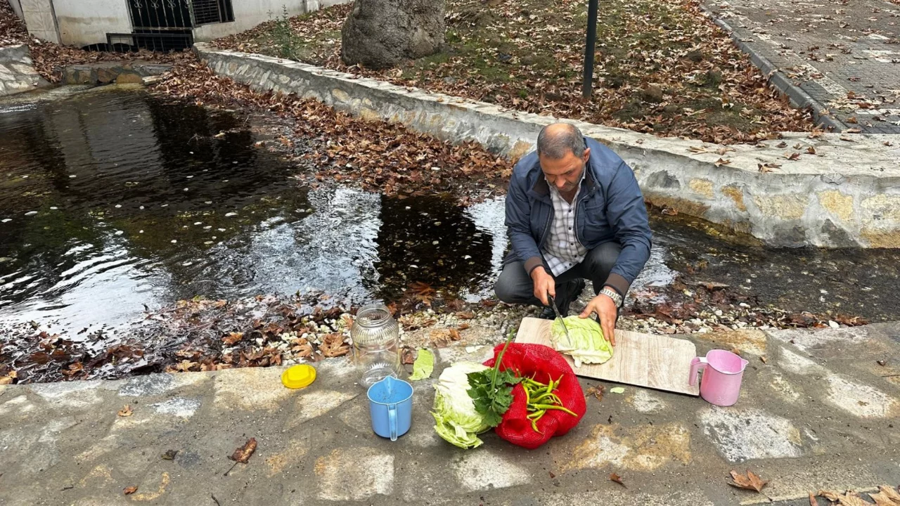 Bursa'da 700 yıllık &ccedil;ınarların g&ouml;lgesinde yılda 40 bin ton &uuml;retim!
