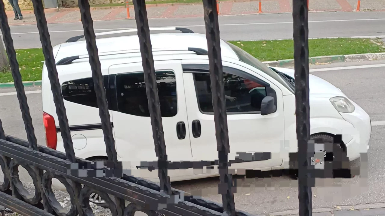 Bursa'da kediyi iki kez ezdi! D&ouml;n&uuml;p bakmadı