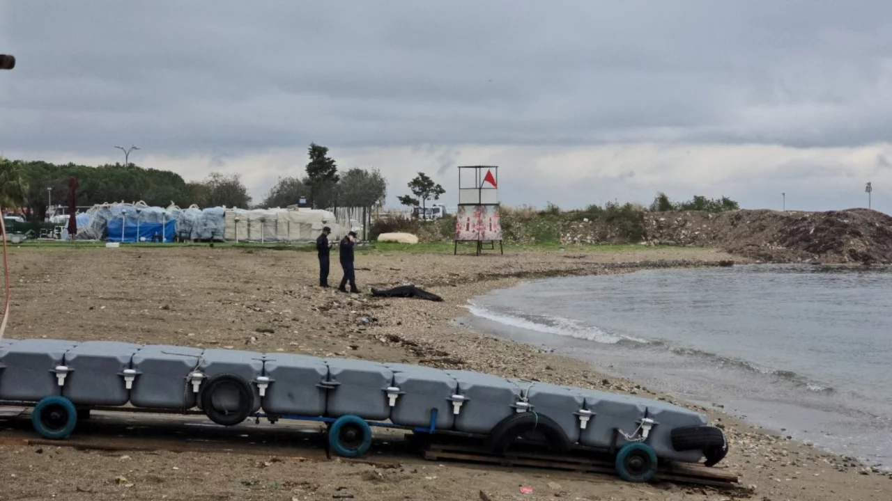 Bursa'da sahilde erkek cesedi bulundu!