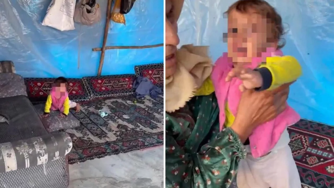 Dehşete d&uuml;ş&uuml;ren g&ouml;r&uuml;nt&uuml;! Videoyu izleyenler bakanlığı etiketliyor