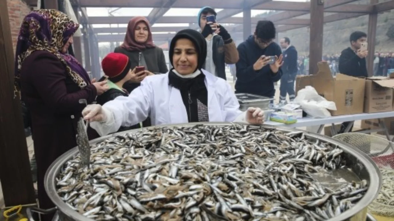 Bursa'nın tarihi il&ccedil;esi İznik'te bir ilk! Birinci Hamsi Festivali d&uuml;zenleniyor..