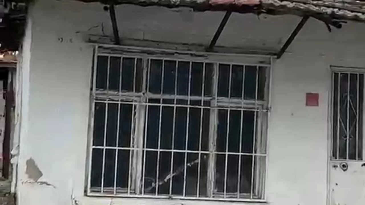 Çatıya çıkan koyun şaşırttı: Görenler kameraya sarıldı
