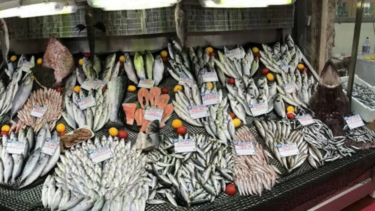 Bursa'da balık fiyatları belli oldu! Kalkan, &ccedil;inekop ve l&uuml;fer cep yakıyor