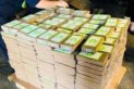 Muz kutularından 18 milyon dolarlık kokain çıktı