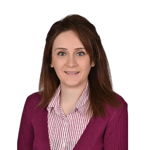 Bursa'nın o ilçesi er geç il olacak: "Artık ...