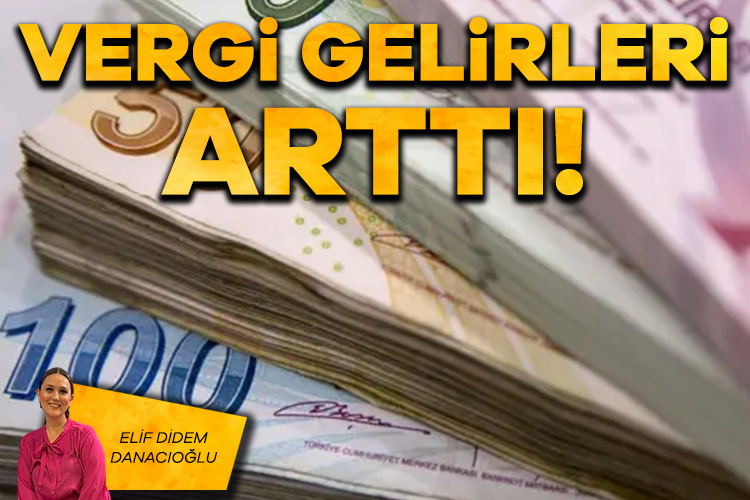 Elif Didem Danacıoğlu; Vergi gelirleri arttı! 