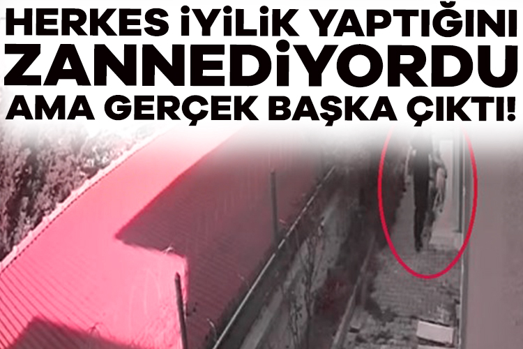 Herkes iyilik yaptığını biliyordu! Sahiplendiği köpeklere dehşeti yaşattı