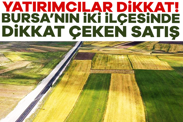 Yatırımcılar dikkat! Bursa&#039;nın iki ilçesinde dikkat çeken satış