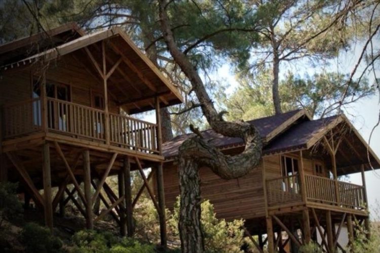 Bursa'da doğayla baş başa: Kamp severler için en güzel rotalar
