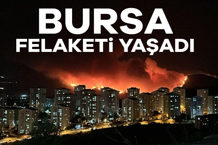 Bursa'daki orman yangını geceyi gündüze çevirdi... Alevler havadan görüntülendi