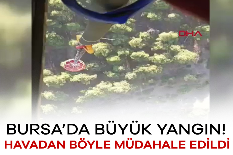 Bursa'daki orman yangınına havadan müdahale