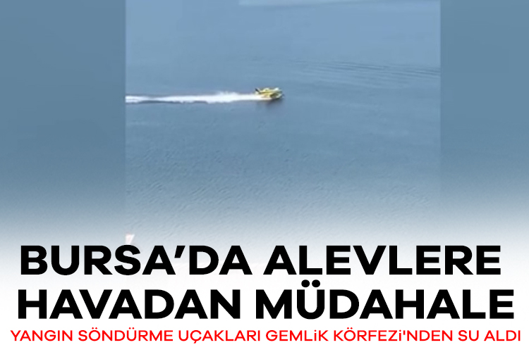 Bursa'da alevlere havadan müdahale