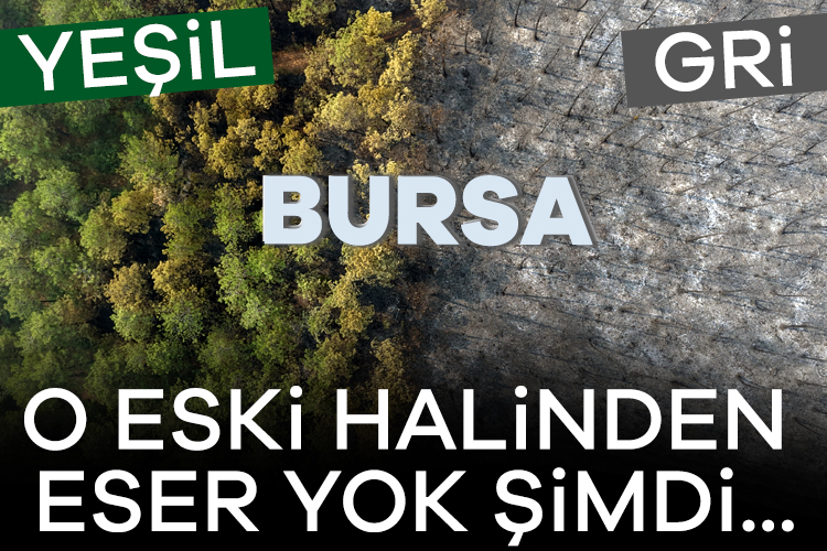 O eski halinden eser yok şimdi! Yeşil Bursa griye döndü