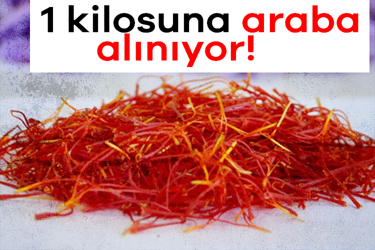 1 kilosuna araba alınıyor! Hasat çiftçiyi ihya etti