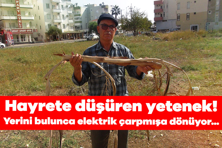Hayrete düşüren yetenek! Yerini bulunca elektrik çarpmışa dönüyor...