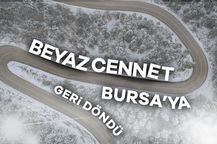 Beyaz cennet Bursa'ya geri döndü