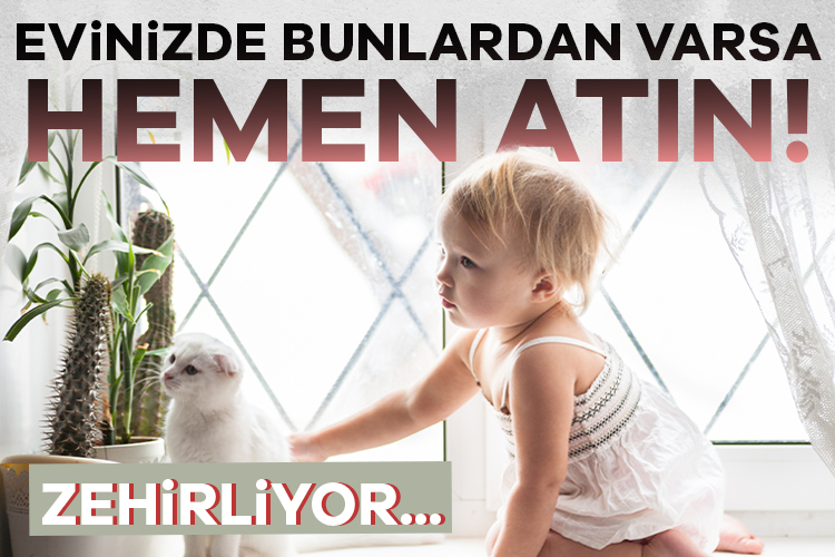 Evinizde bunlardan varsa hemen atın! Zehirliyor...
