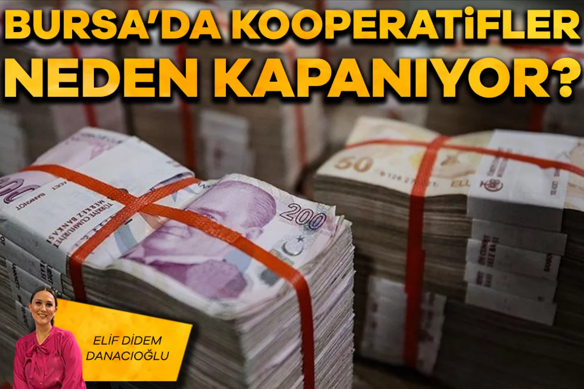 Elif Didem Danacıoğlu; Bursa'da kooperatifler neden kapanıyor?