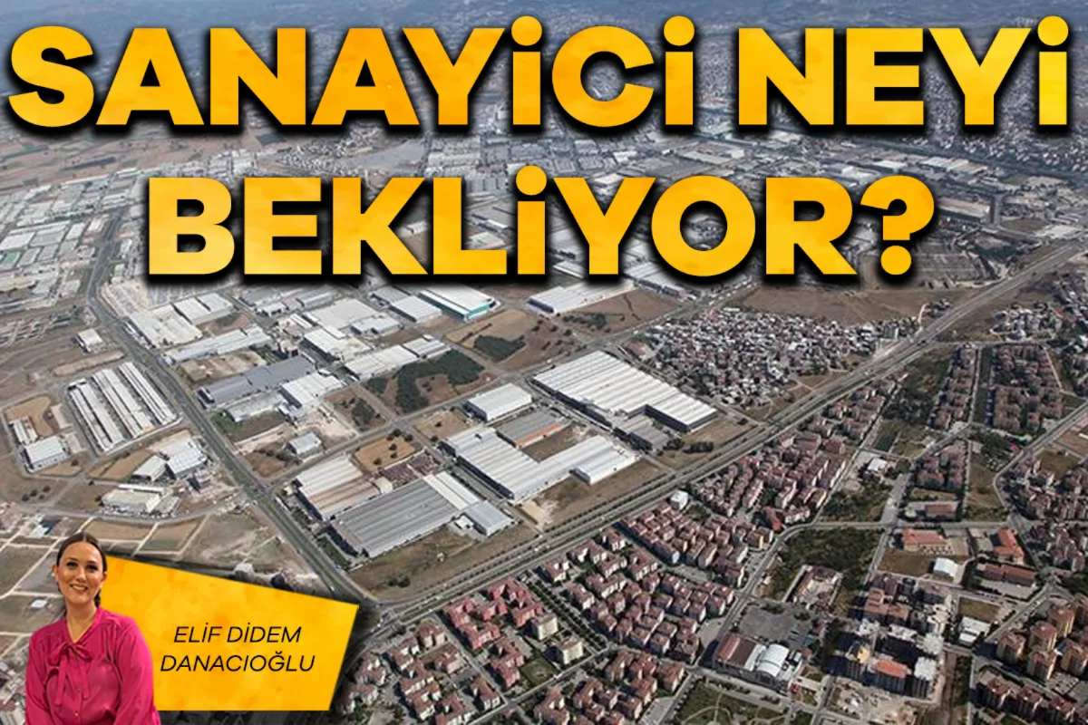Elif Didem Danacıoğlu; Sanayici neyi bekliyor? 