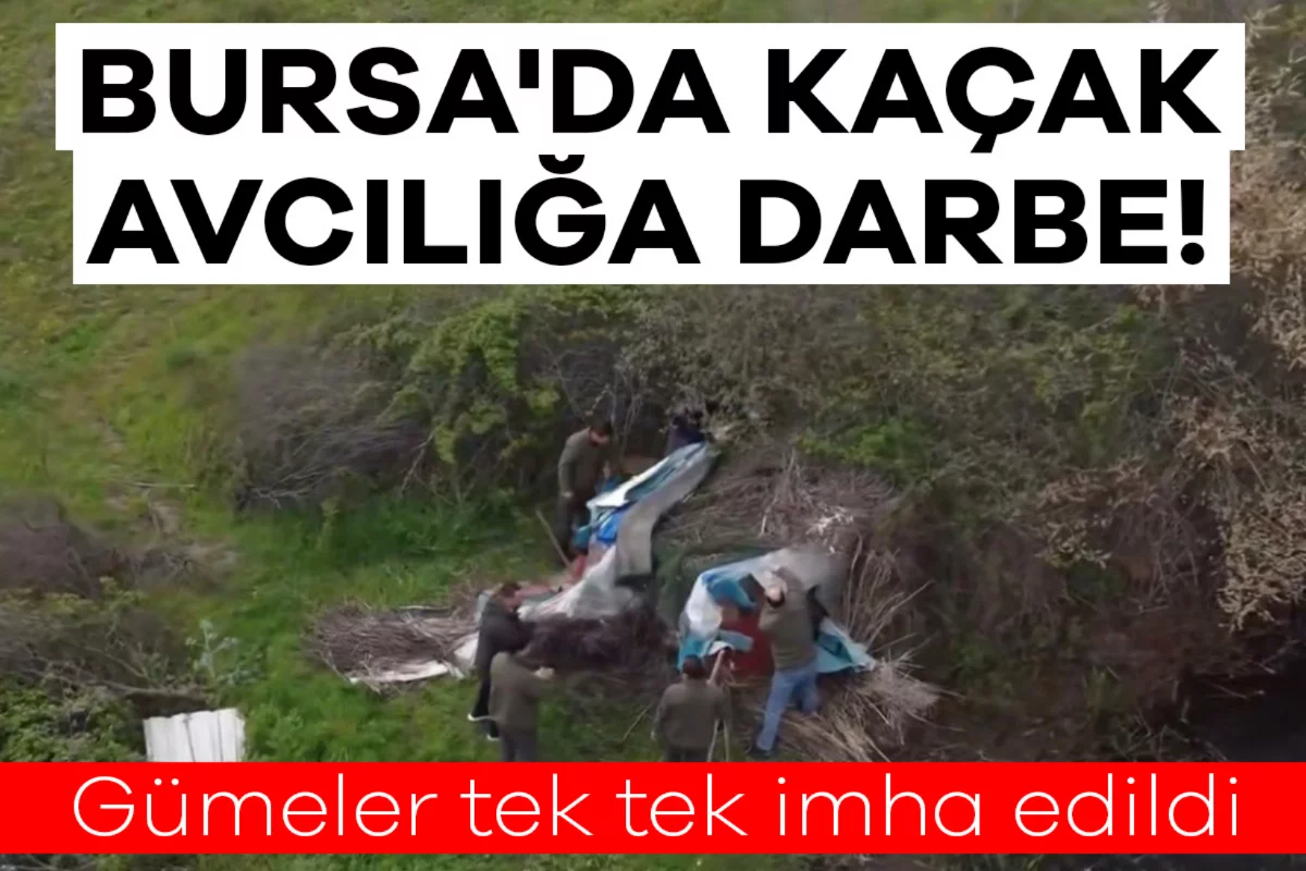 Bursa'da kaçak avcılığa darbe! Gümeler tek tek imha edildi
