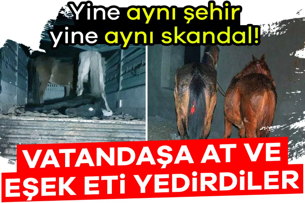 Yine aynı şehir yine aynı skandal: Vatandaşa at ve eşek eti yedirdiler