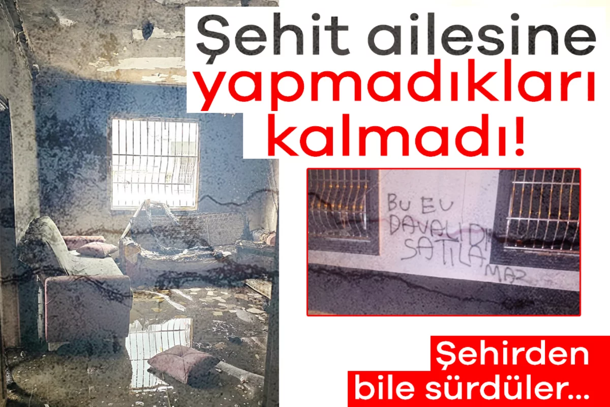 Şehit ailesine yapmadıkları kalmadı! 40 milyon isteyip şehirden sürdüler
